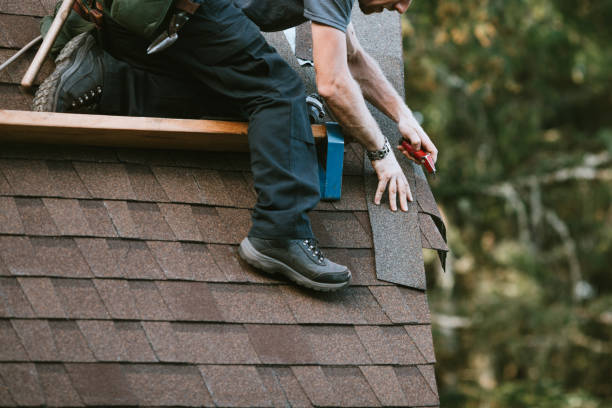 Best Metal Roofing Contractor  in Foothill Farms, CA